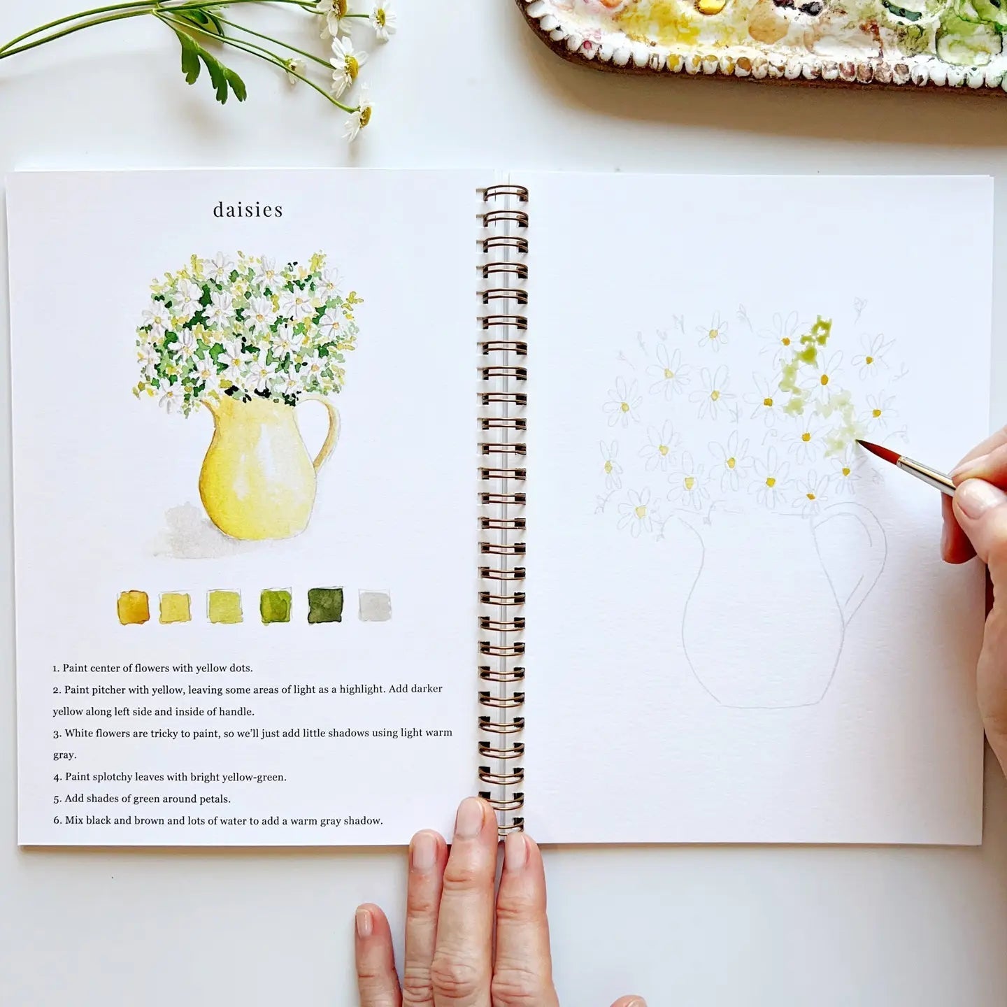 🖼️Beginner-Friendly💕 Watercolor Workbook