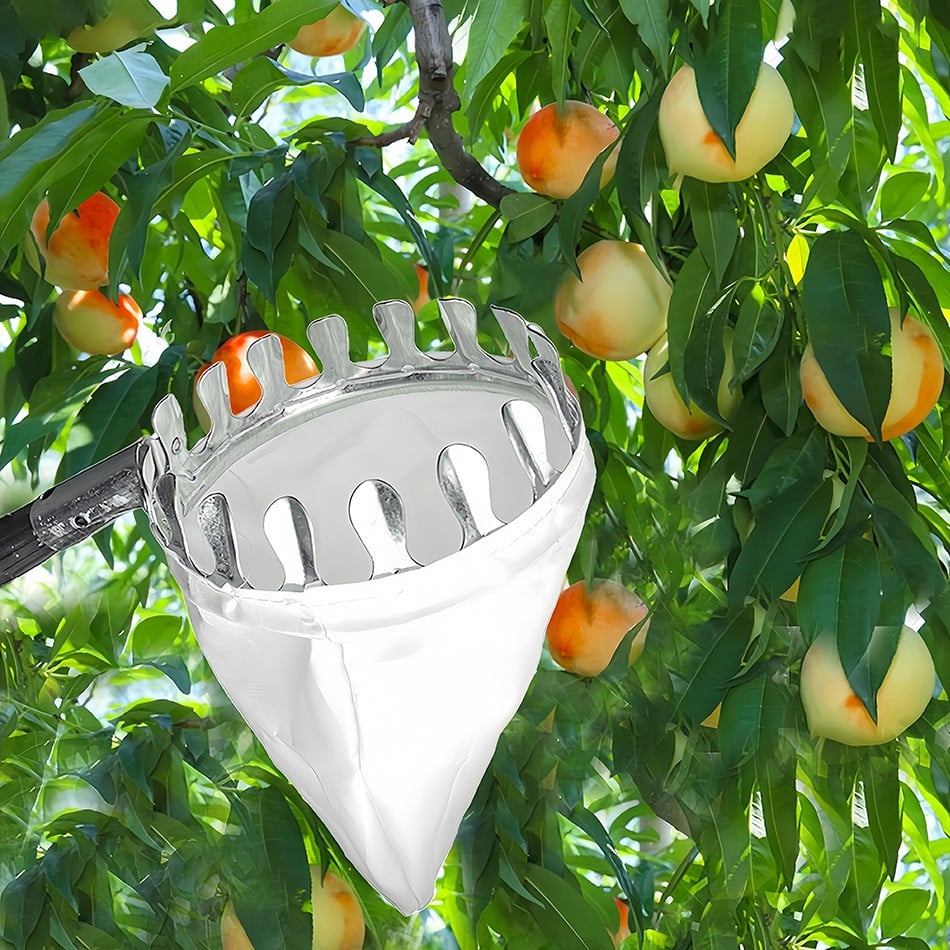 Adjustable Fruits Picker Tool