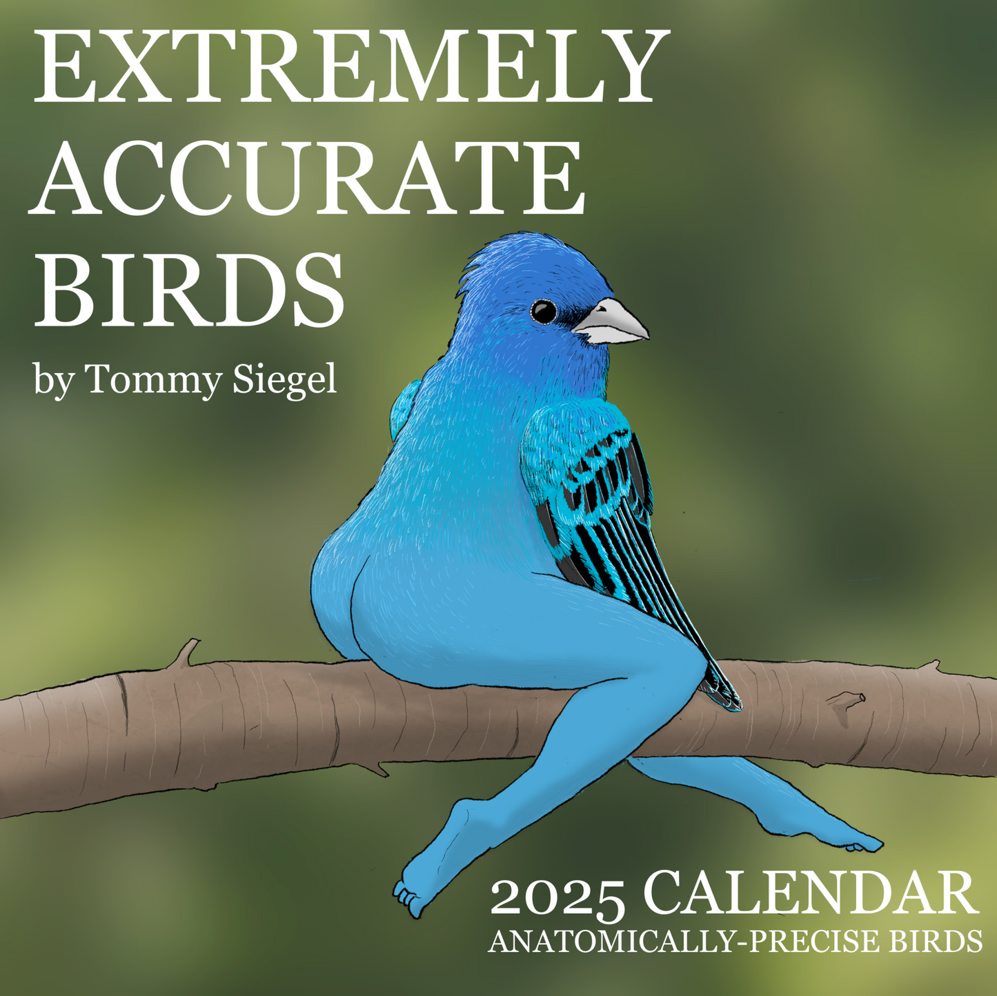 😆2025 CALENDAR OF EXTREMELY ACCURATE BIRDS