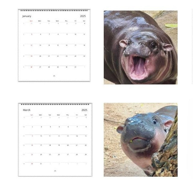 ✨BUY 2 GET 20%OFF✨MOO DENG CALENDAR | 2025 CALENDAR