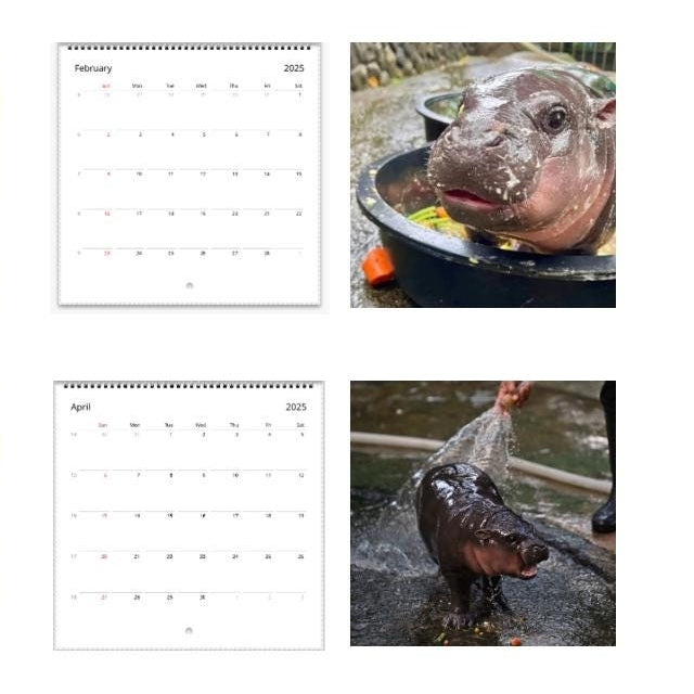 ✨BUY 2 GET 20%OFF✨MOO DENG CALENDAR | 2025 CALENDAR