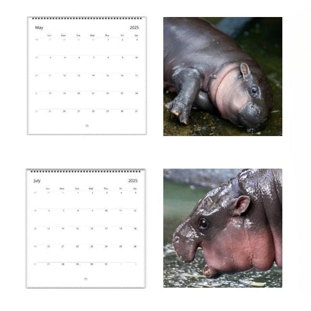 ✨BUY 2 GET 20%OFF✨MOO DENG CALENDAR | 2025 CALENDAR