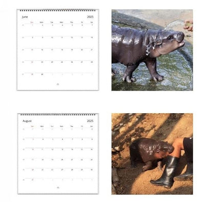 ✨BUY 2 GET 20%OFF✨MOO DENG CALENDAR | 2025 CALENDAR