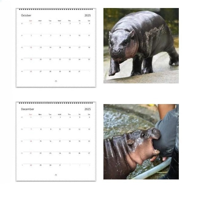 ✨BUY 2 GET 20%OFF✨MOO DENG CALENDAR | 2025 CALENDAR