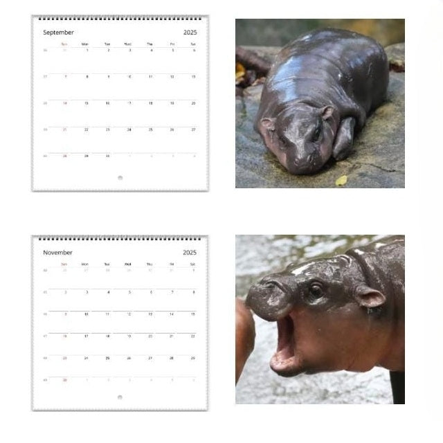 ✨BUY 2 GET 20%OFF✨MOO DENG CALENDAR | 2025 CALENDAR